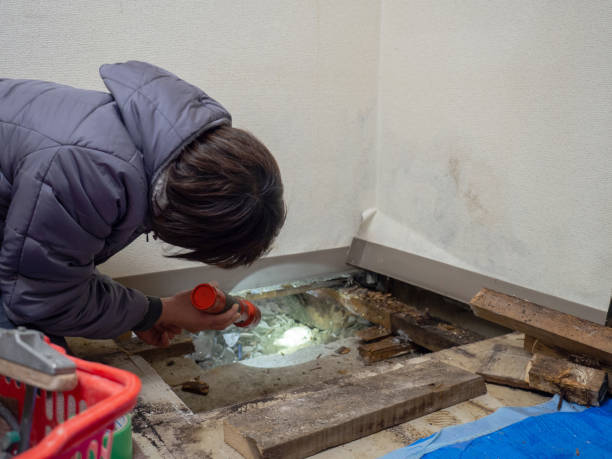 Best Crawl Space Mold Remediation  in Kalispell, MT